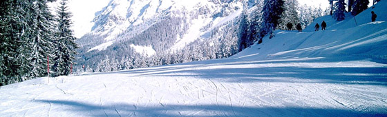 School skiing trip in Hochkonig