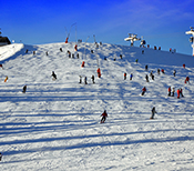 best school ski trip companies