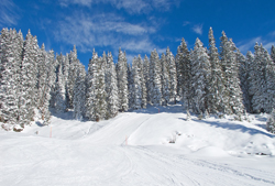 School skiing trip in Obertauern