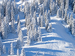 School skiing trip in Canada