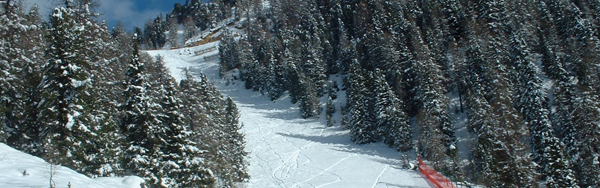 School skiing trip in Peio