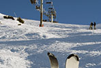 School skiing trip in France