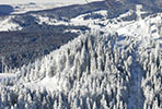 School skiing trip in Hochkonig