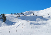 School skiing trip in Prato Nevoso