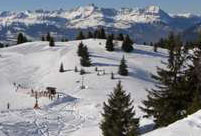 School skiing trip in Zell am See