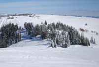 School skiing trip in Claviere