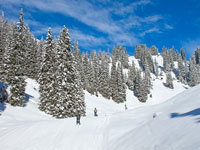 pupils school ski trip