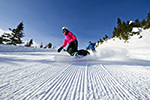 school skiiers