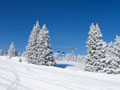 school skiing trip to Austria